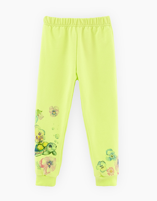 Вид спереди