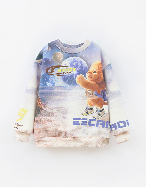 Вид спереди