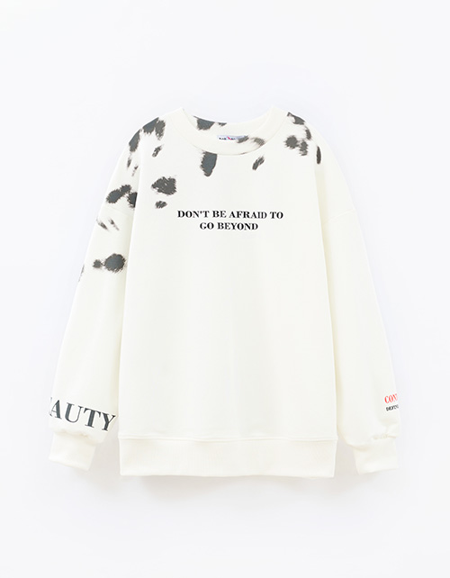 Вид спереди