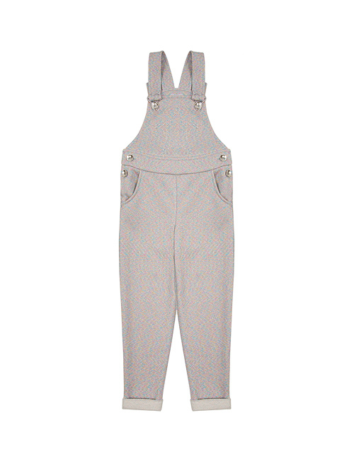 Вид спереди