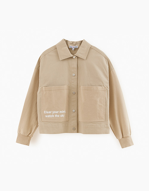 Вид спереди