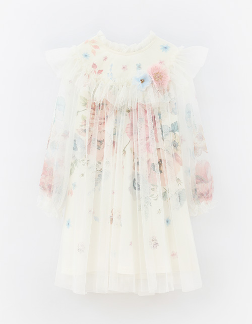 Вид спереди