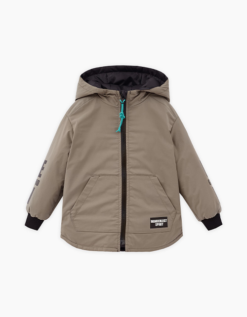 Вид спереди