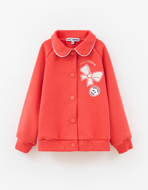 Вид спереди