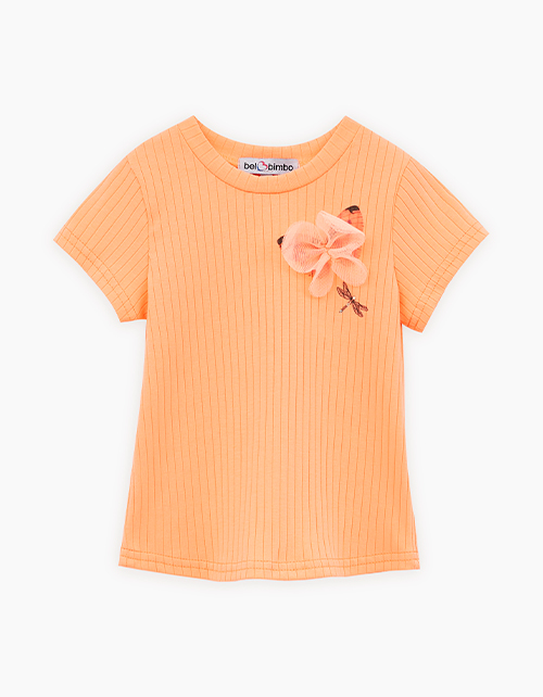 Вид спереди