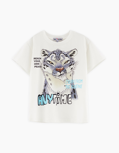 Вид спереди