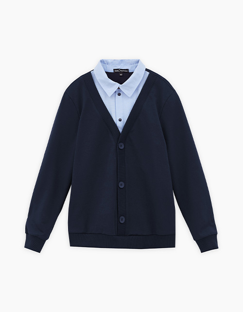 Вид спереди