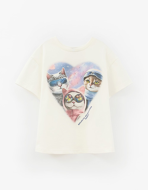 Вид спереди