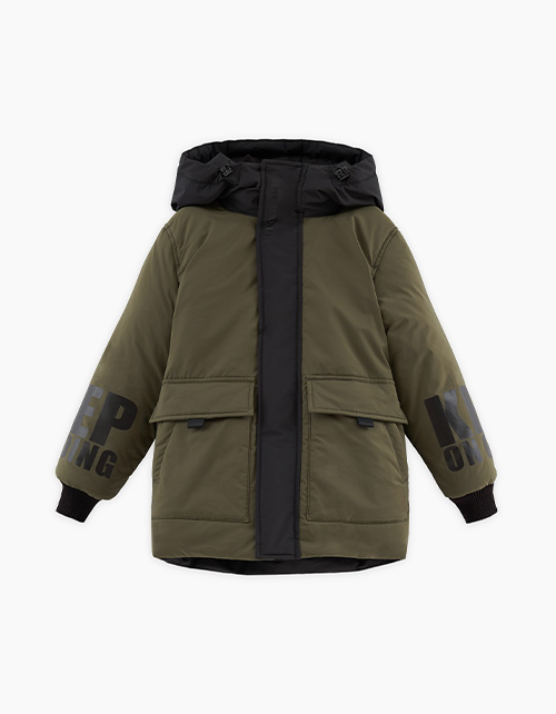 Вид спереди