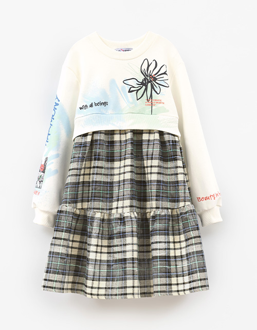 Вид спереди