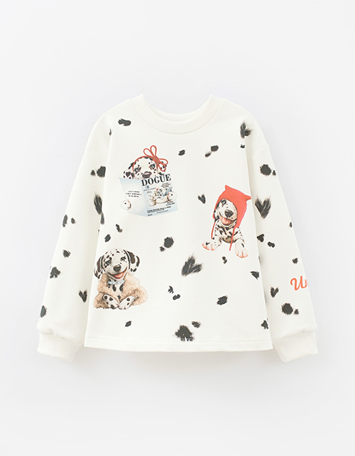 Вид спереди