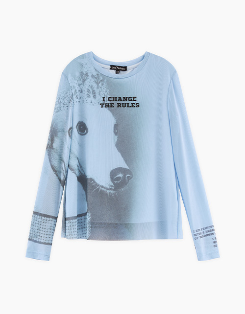 Вид спереди