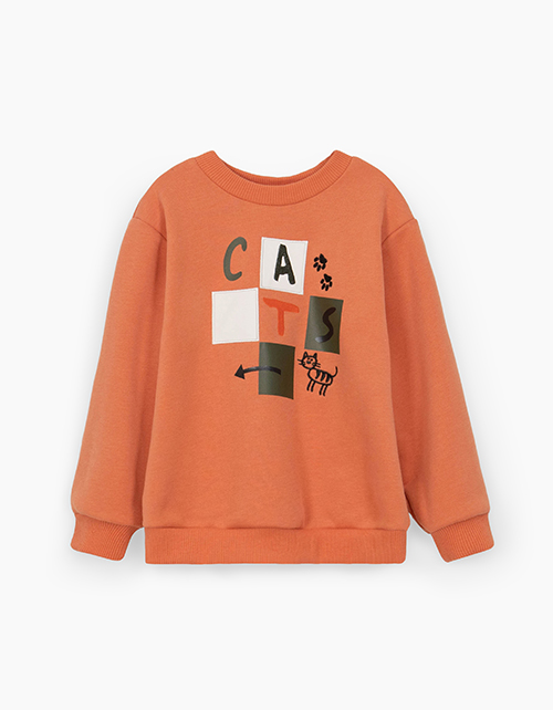 Вид спереди