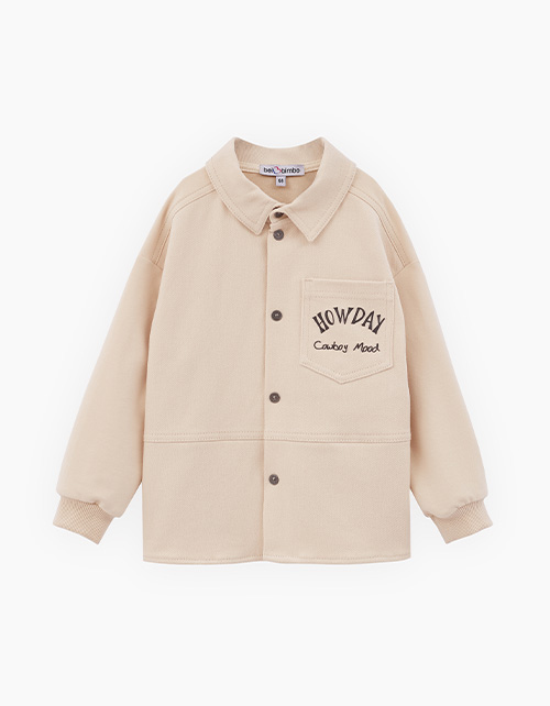 Вид спереди