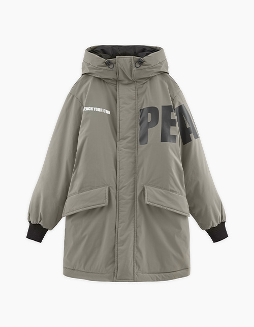 Вид спереди