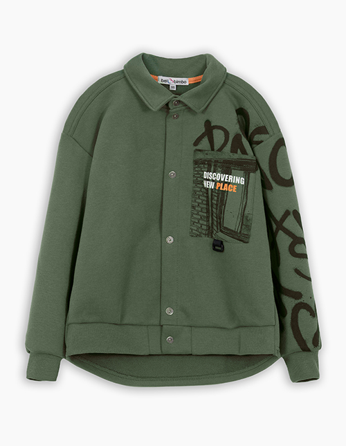 Вид спереди