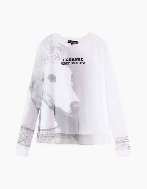 Вид спереди