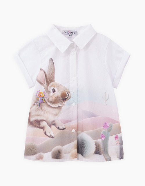 Вид спереди