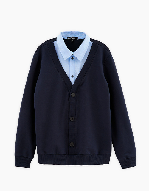 Вид спереди