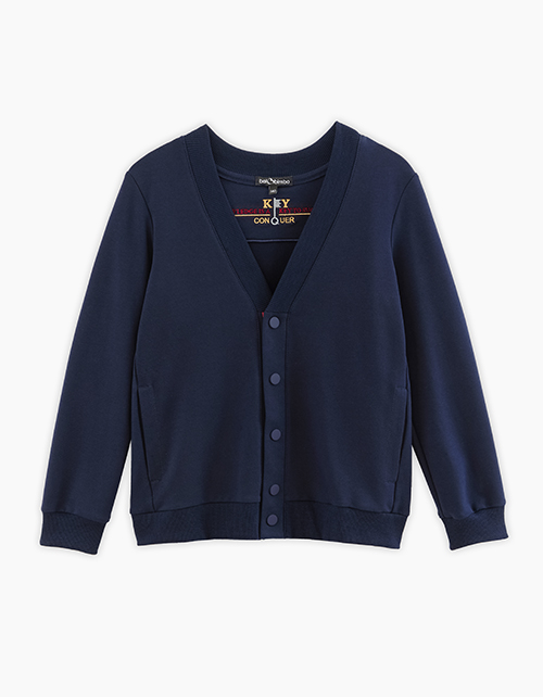 Вид спереди