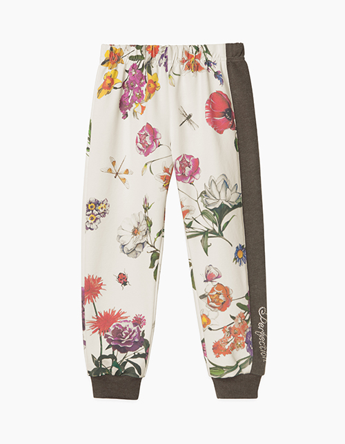 Вид спереди