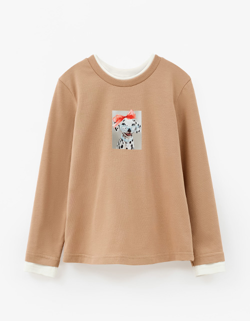 Вид спереди