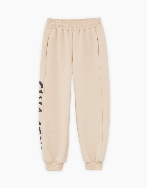 Вид спереди