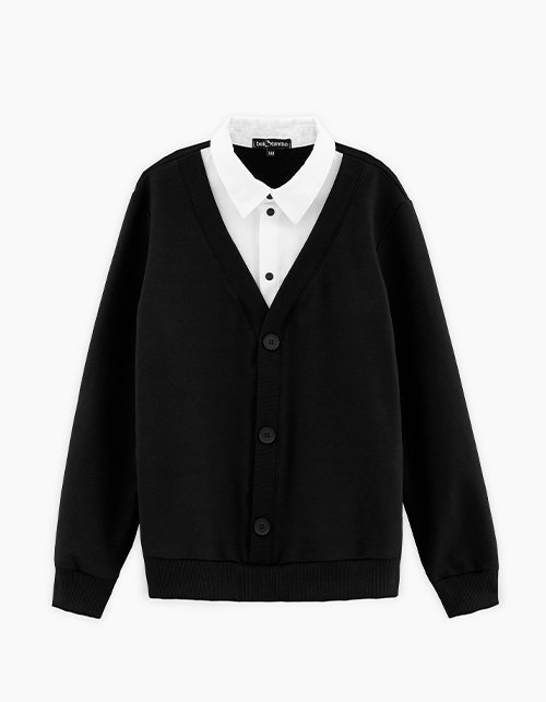 Вид спереди