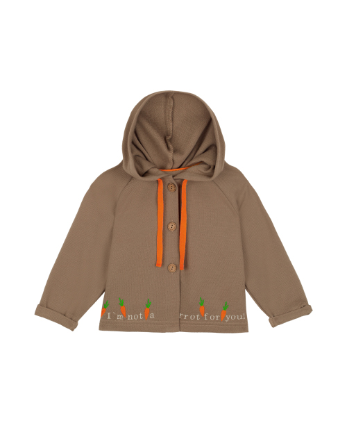 Вид спереди