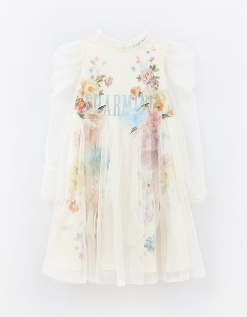 Вид спереди