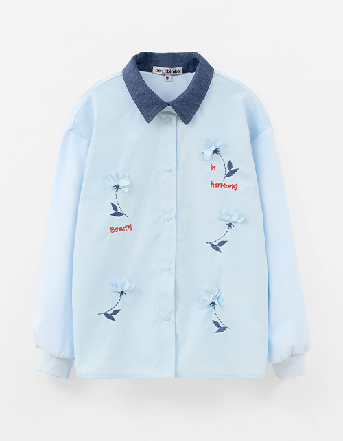 Вид спереди