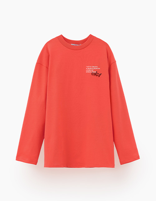 Вид спереди