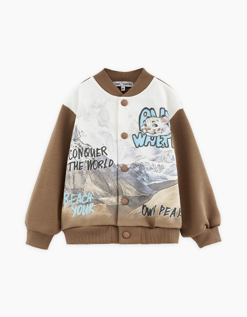 Вид спереди