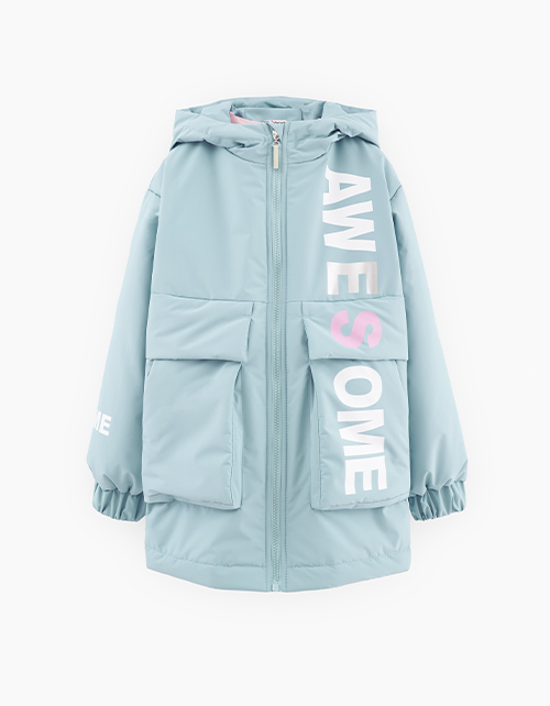 Вид спереди