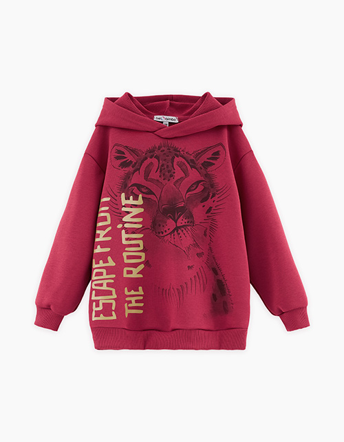 Вид спереди