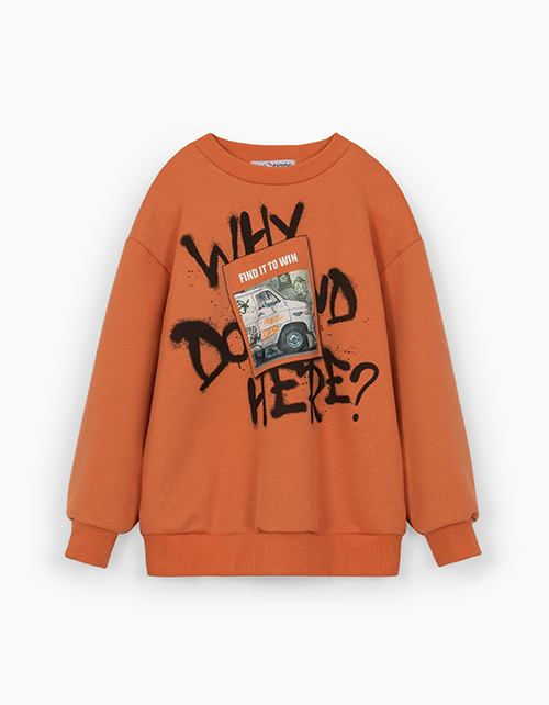 Вид спереди