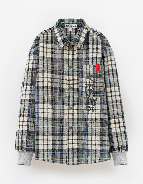 Вид спереди