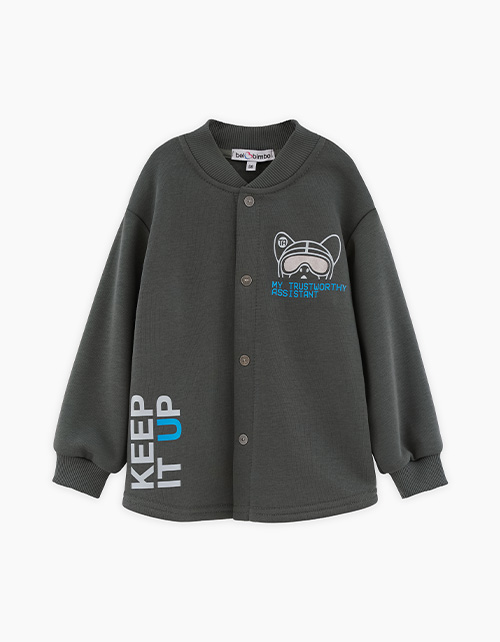 Вид спереди