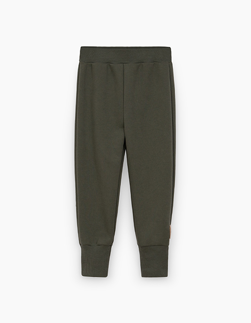 Вид спереди