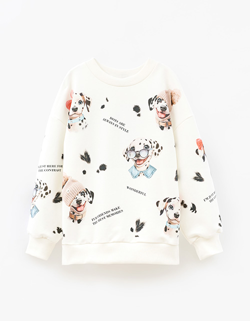 Вид спереди